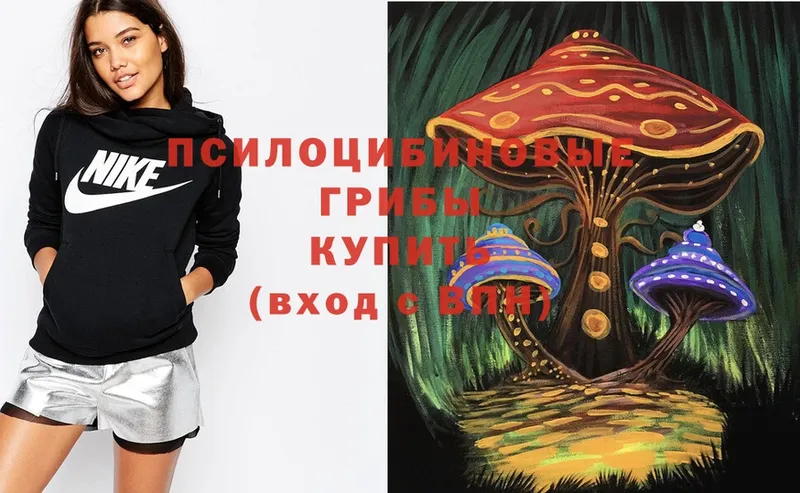 hydra tor  shop Telegram  Псилоцибиновые грибы Psilocybe  Менделеевск 